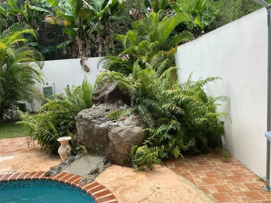 Casa Maritza'S Bed Anytime Apartment Rincon 0*,  Puerto Rico